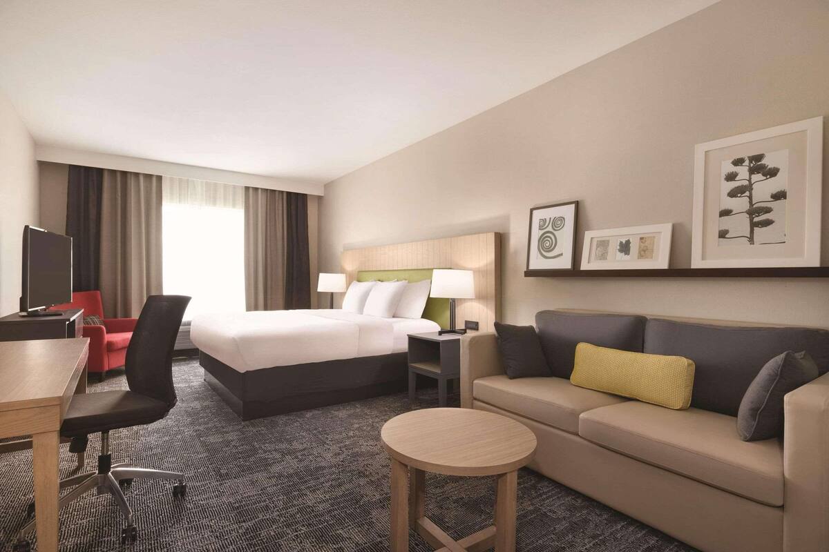 Studio Suite, 1 Tempat Tidur King, Bebas Asap Rokok | Selimut bulu angsa, meja kerja, dan ruang kerja ramah laptop