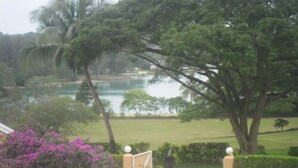 A view of a landscaped area with a large tree, a body of water, and a building with a gate. - Quest Apartments (Port Vila)