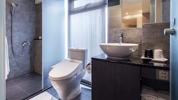 Shower, hair dryer, slippers, bidet