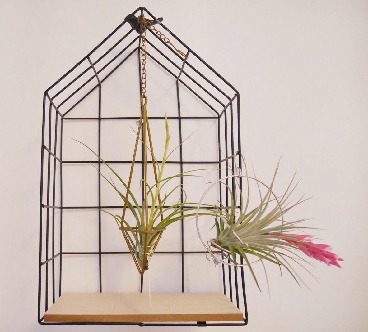 quadruple room | individually decorated, individually furnished, desk, blackout curtains