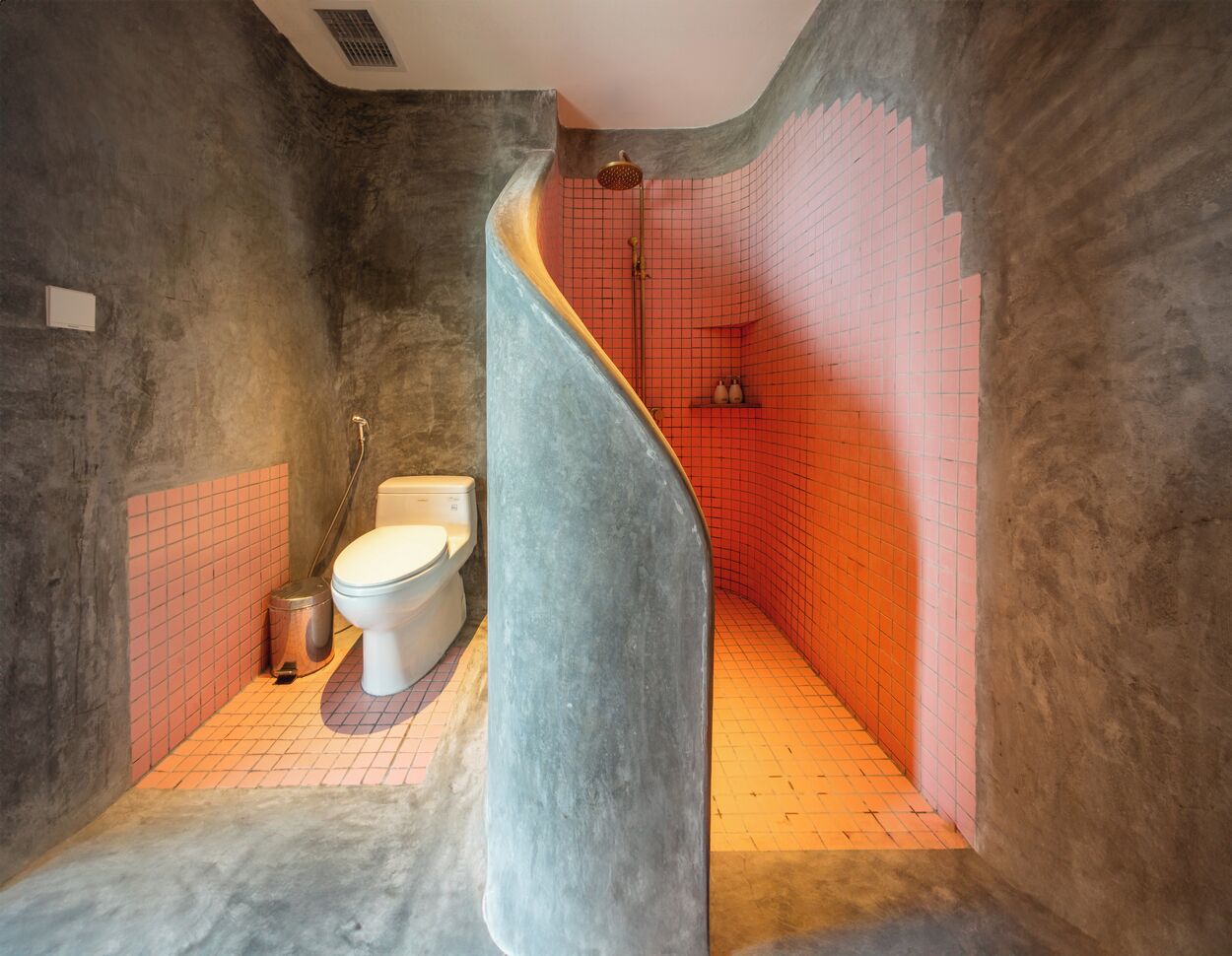 A bathroom with a toilet, a shower, and a curved wall.
