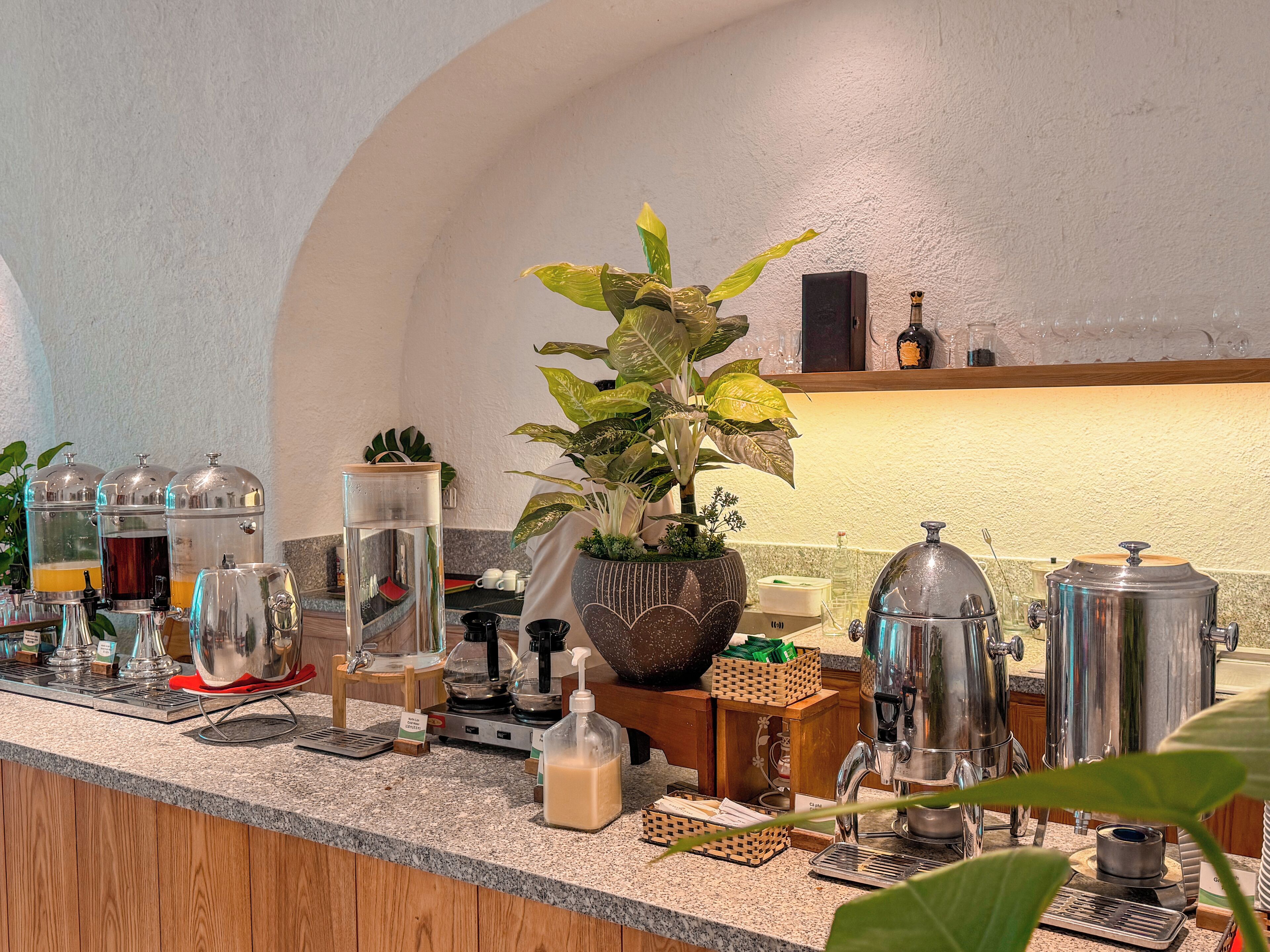 Een aanrecht met koffiezetapparaten, een cafetière en een potplant.