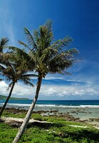 2 indoor pools, 3 outdoor pools, pool loungers