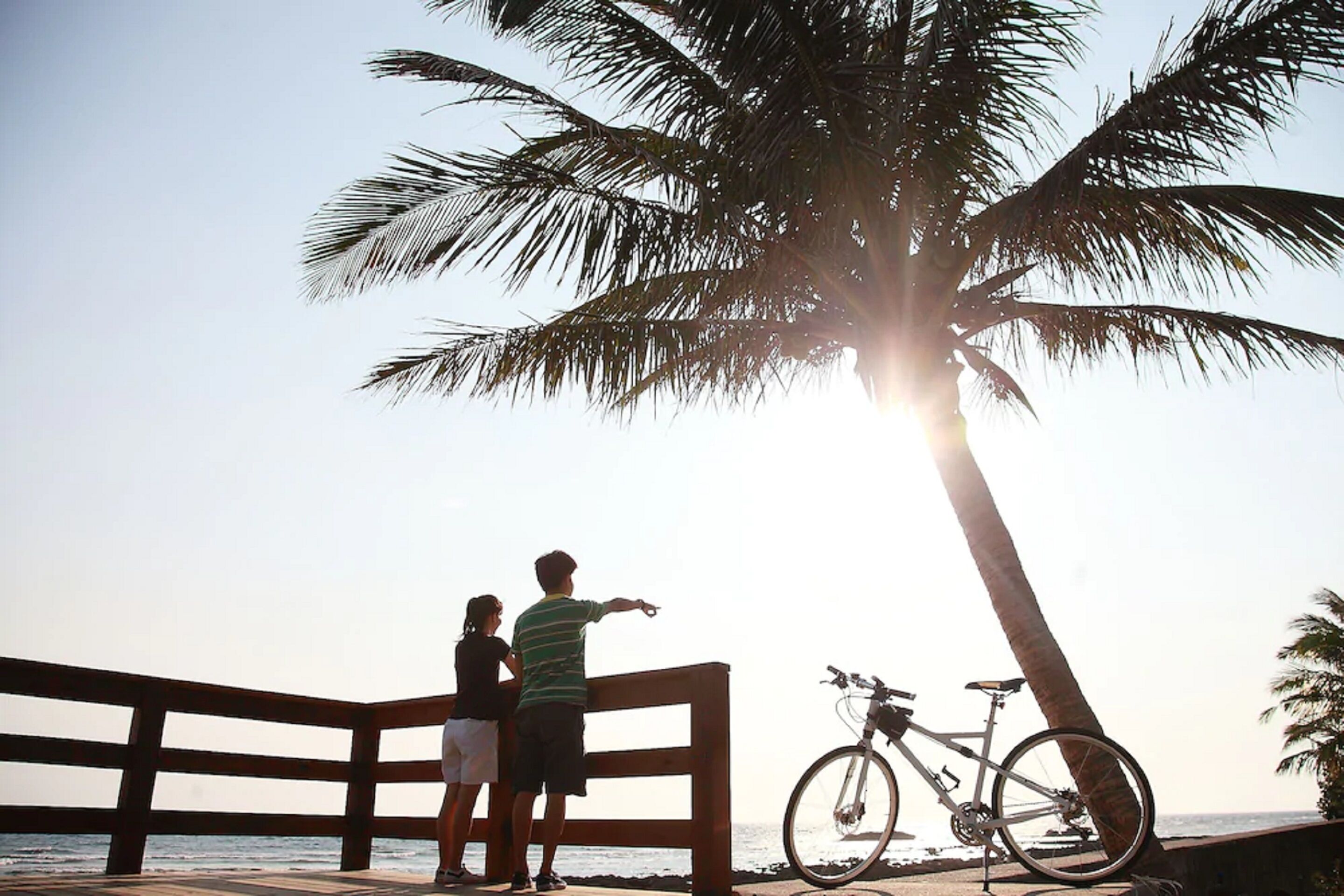 Um banco de madeira com vista para uma praia, com uma bicicleta encostada a uma palmeira.