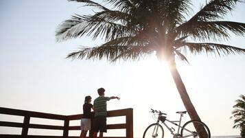 Um banco de madeira com vista para uma praia, com uma bicicleta encostada a uma palmeira.