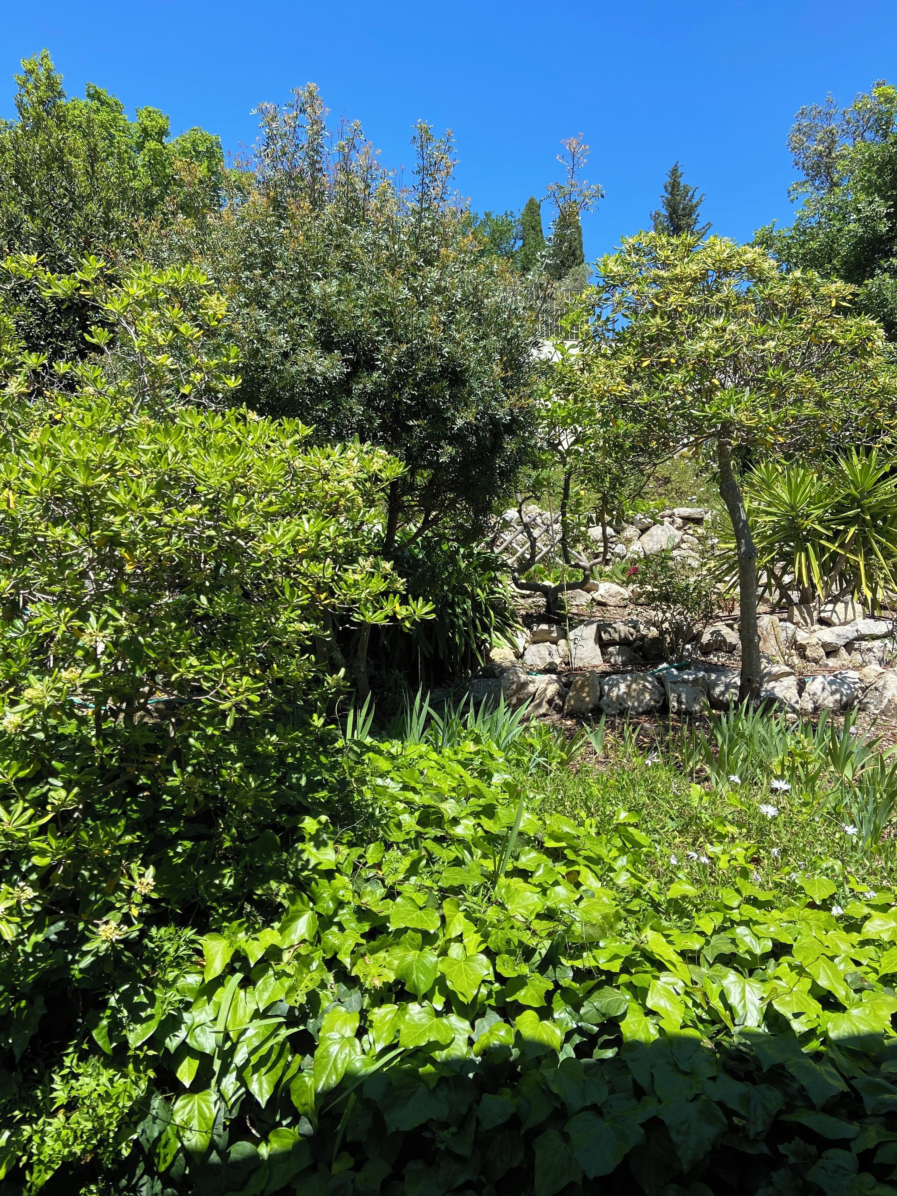 Foto - Les Belles Terrasses