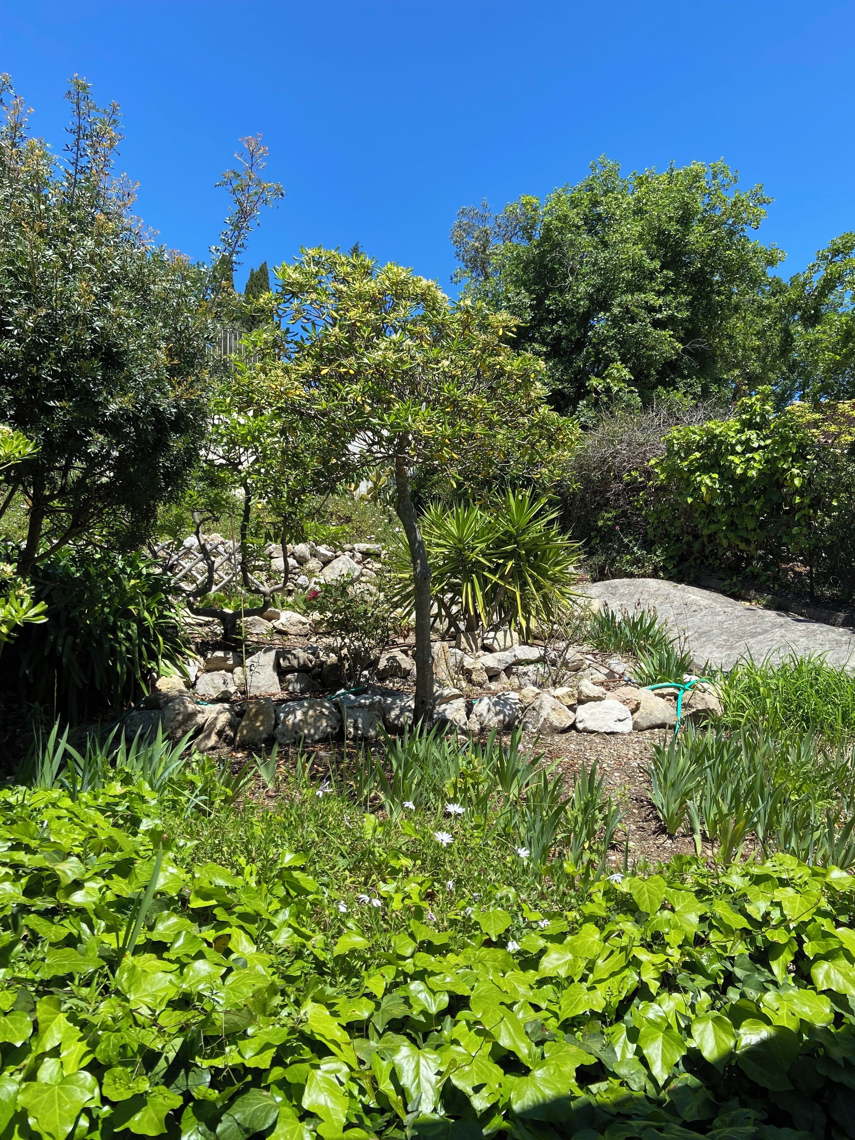 Foto - Les Belles Terrasses