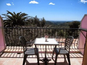 Double or Twin Room, Sea View | Terrace/patio