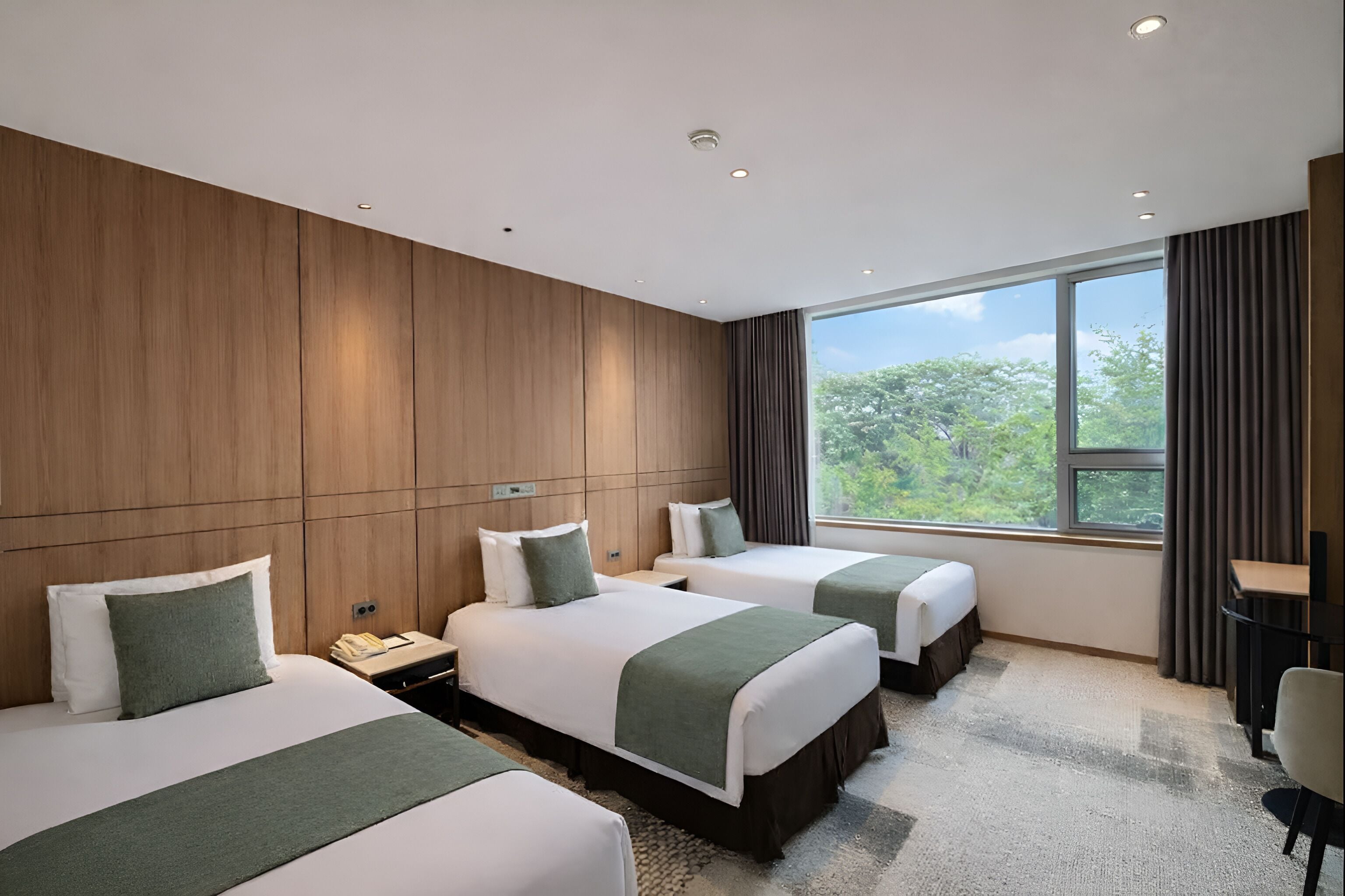 Standard Triple Room | View from room