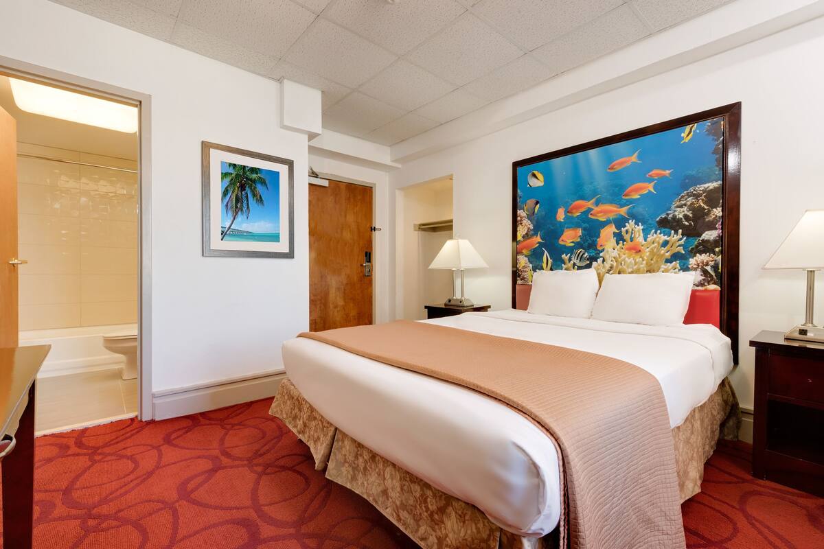 Blackout drapes, iron/ironing board, WiFi (free), alarm clocks