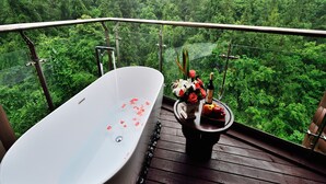 Kamar Twin Deluks | Pemandangan balkon