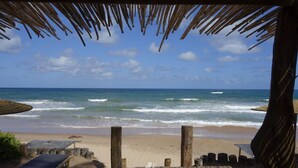 Surfing/boogie boarding - Butterfly House Bahia (Maraú)