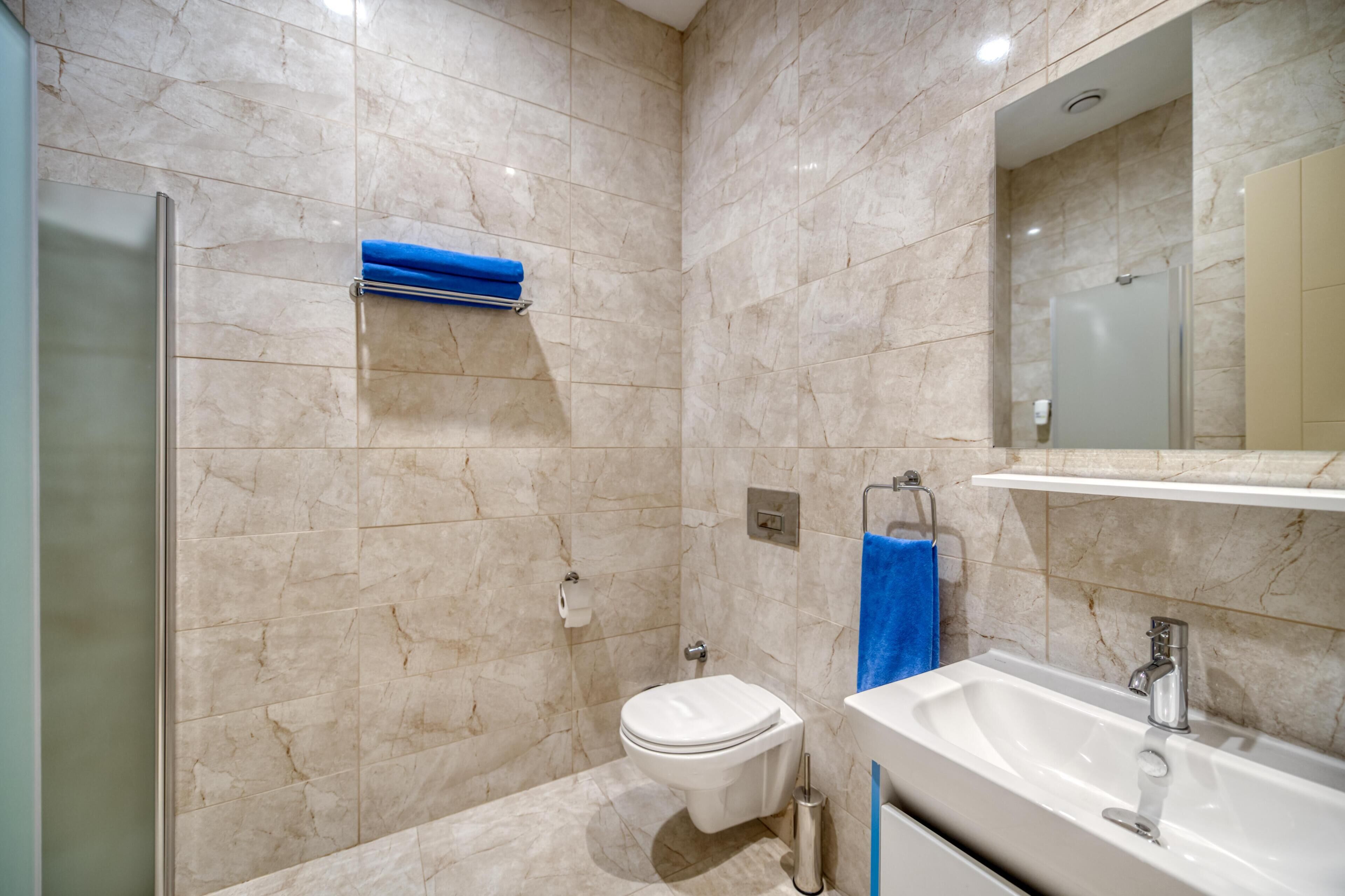 A modern bathroom with a glass shower enclosure, a white toilet, and a sink with a mirror above it.