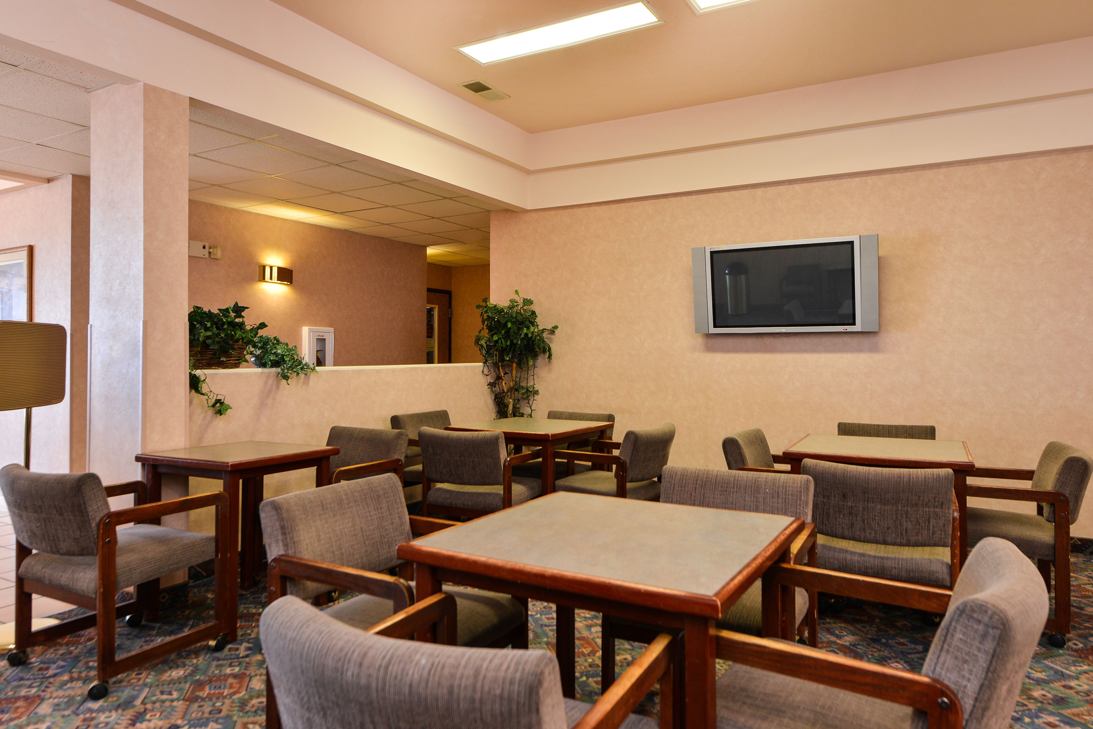 Habitación de hotel con un ventanal grande, un televisor de pantalla plana en la pared y piso alfombrado.
