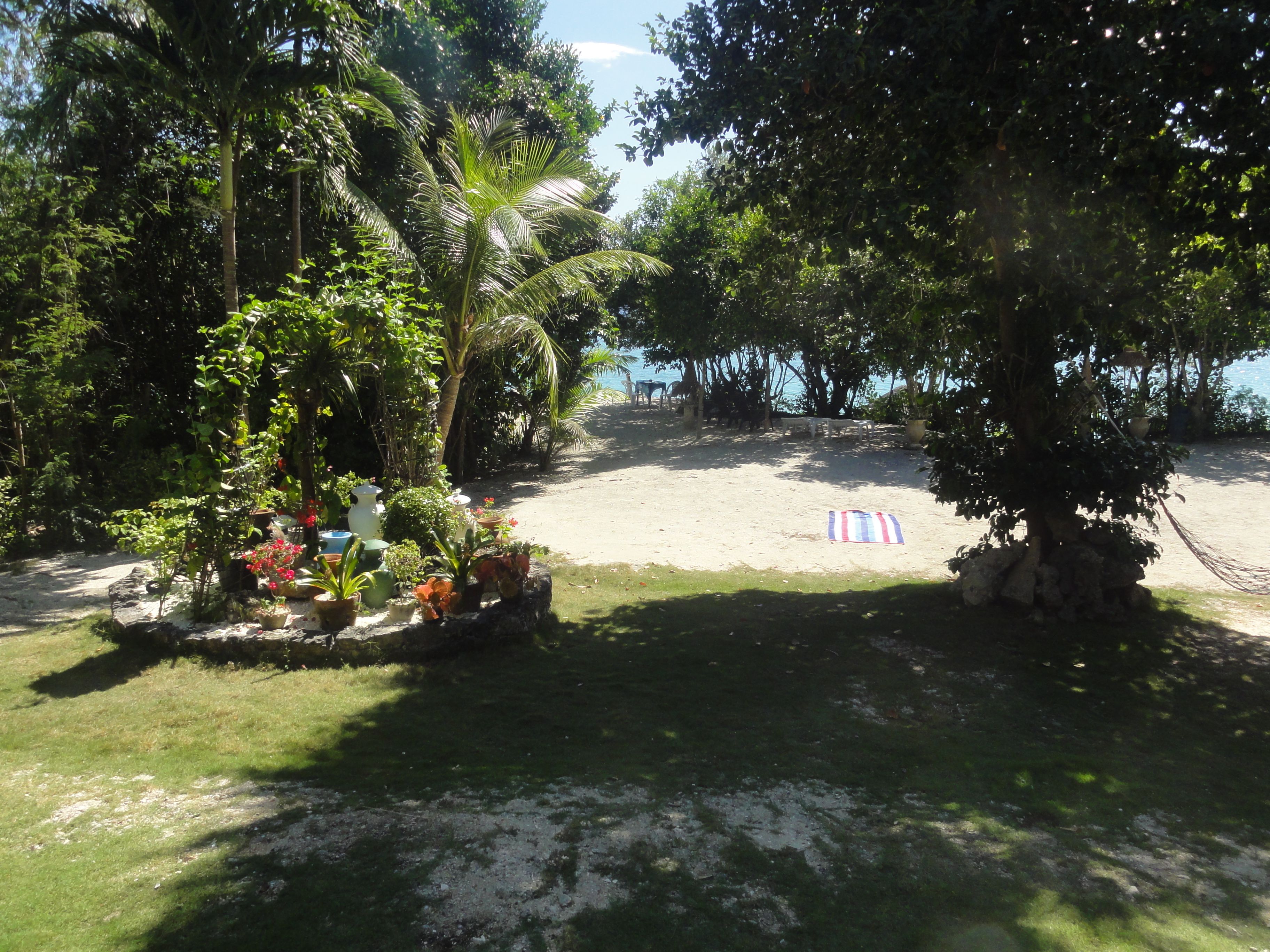 Photo - Sea Turtle House