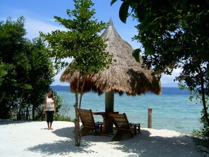 Property grounds - Sea Turtle House (Moalboal)