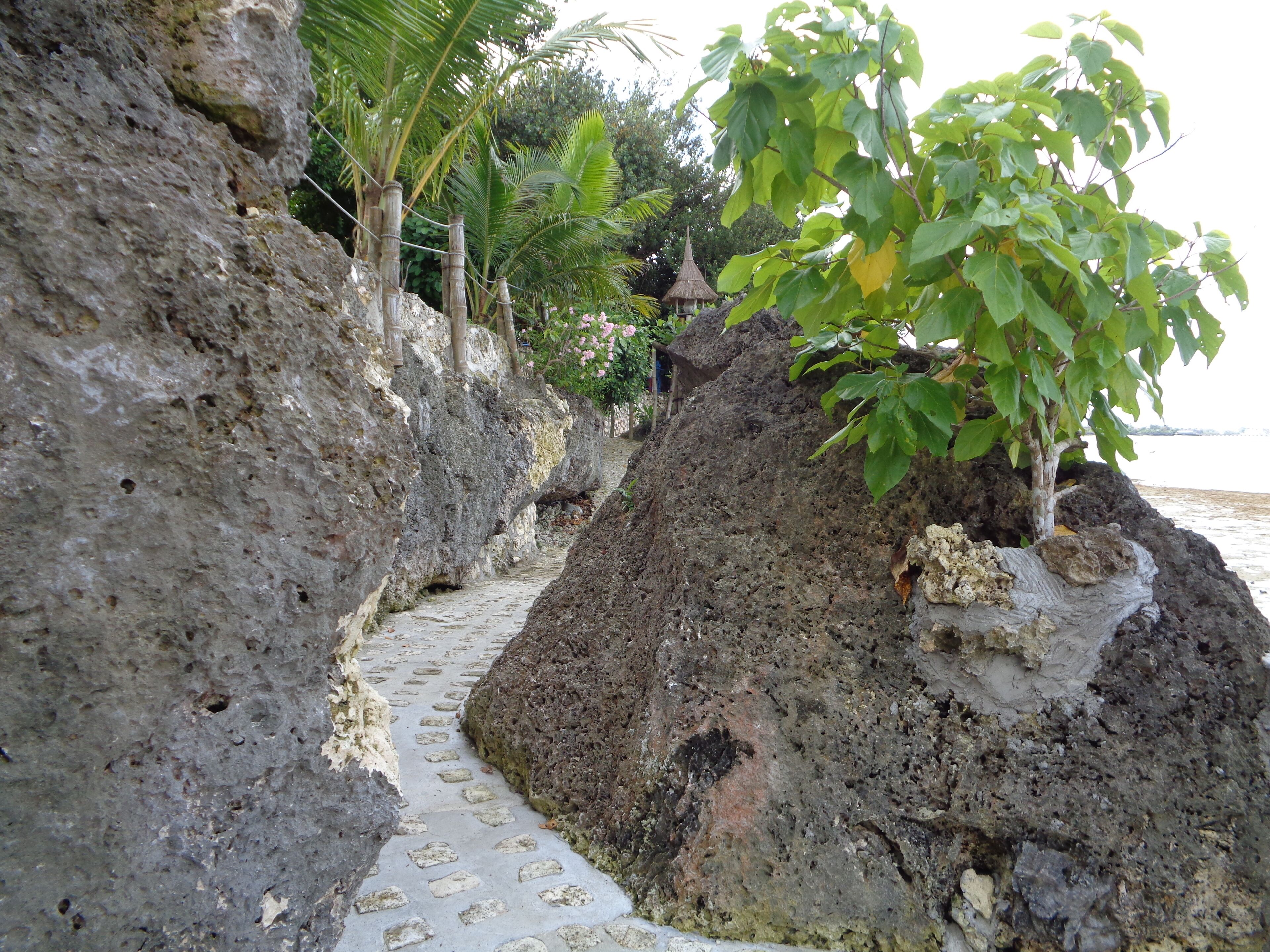 Foto - Sea Turtle House Moalboal