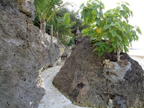 Exterior - Sea Turtle House (Moalboal)