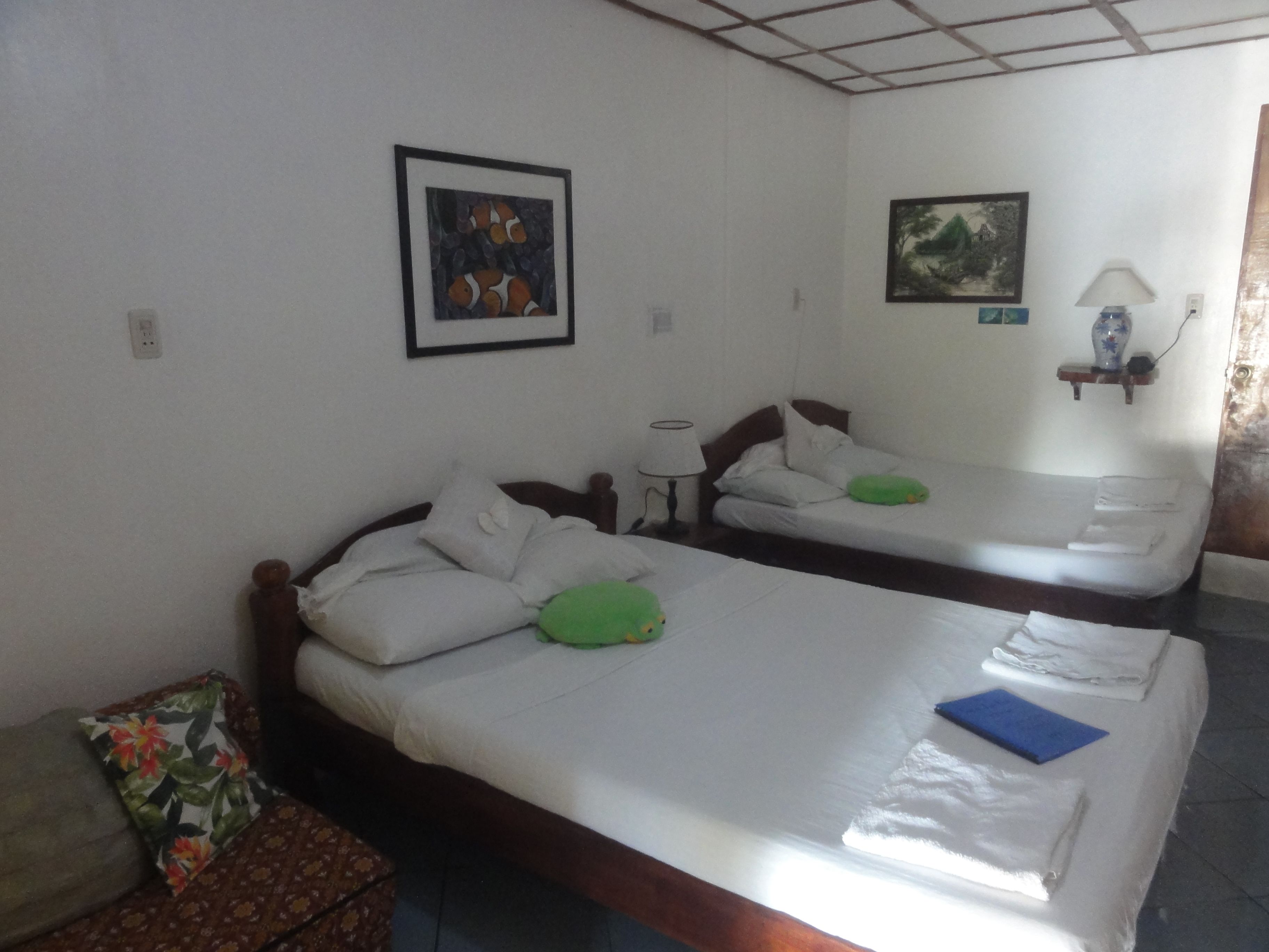 Foto - Sea Turtle House Moalboal