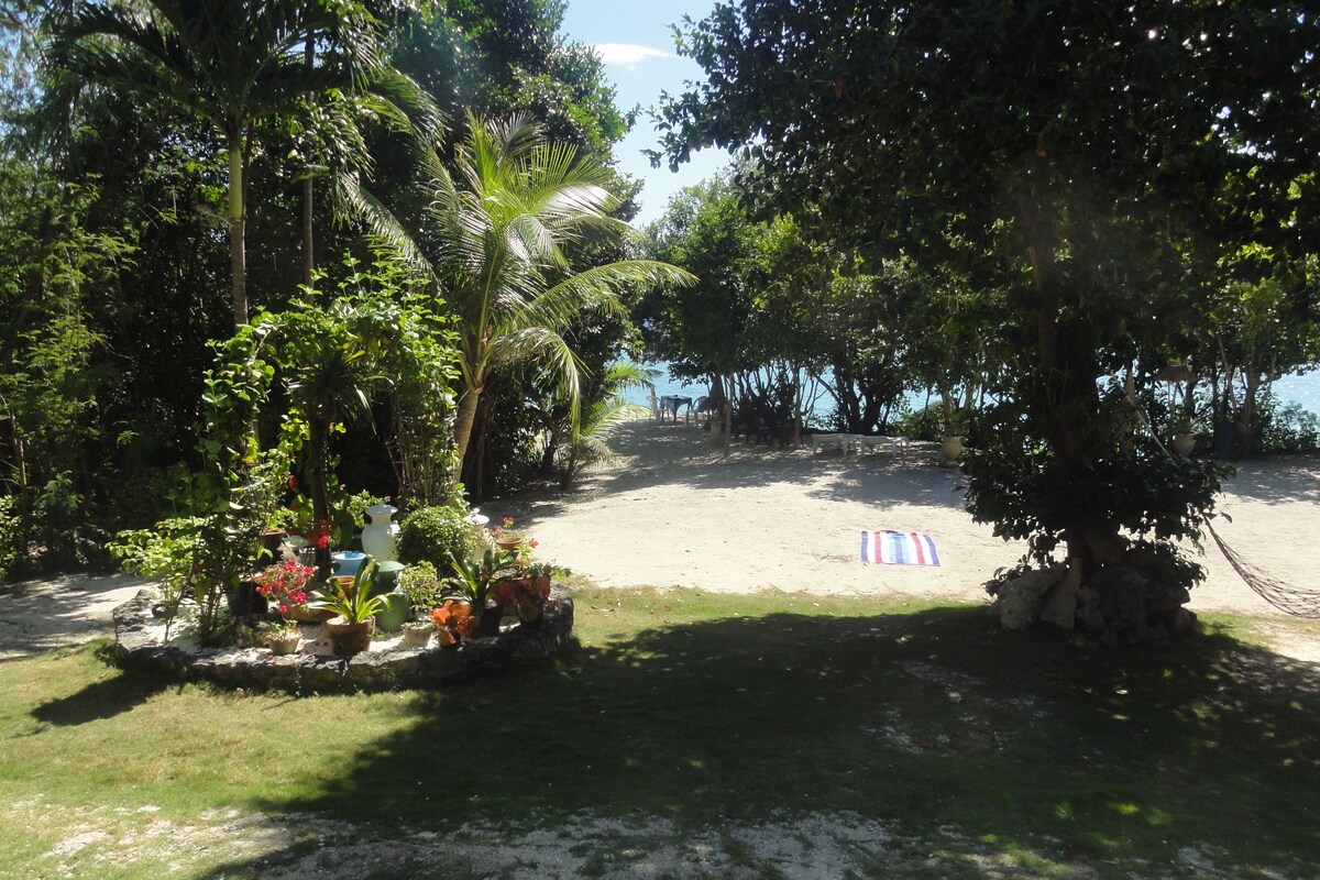 A beach area with a hammock, potted plants, and a view of the sea.