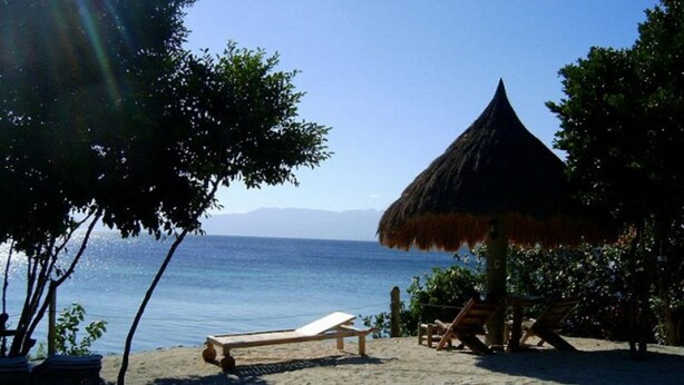 A beach with a thatched-roof hut, lounge chairs, and a clear view of the sea. - Sea Turtle House (Moalboal)