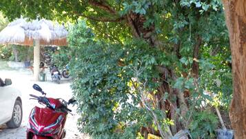 Resort View Room with Air Con for 2 | View from room