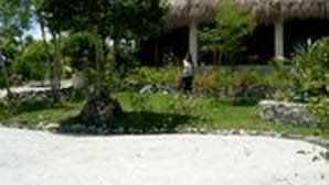 A traditional thatched-roof structure with a sandy foreground and lush greenery. - Sea Turtle House (Moalboal)