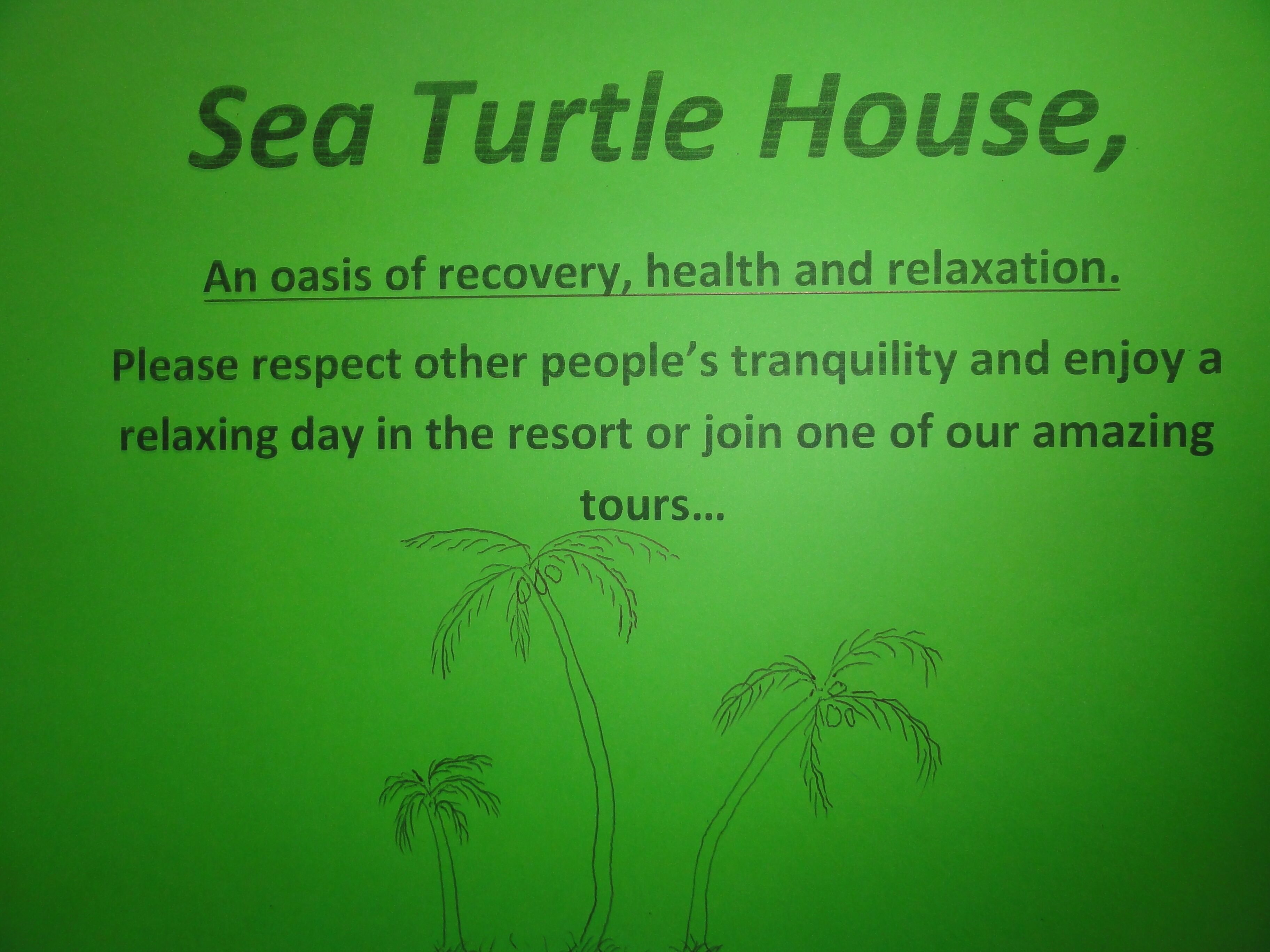 Foto - Sea Turtle House Moalboal