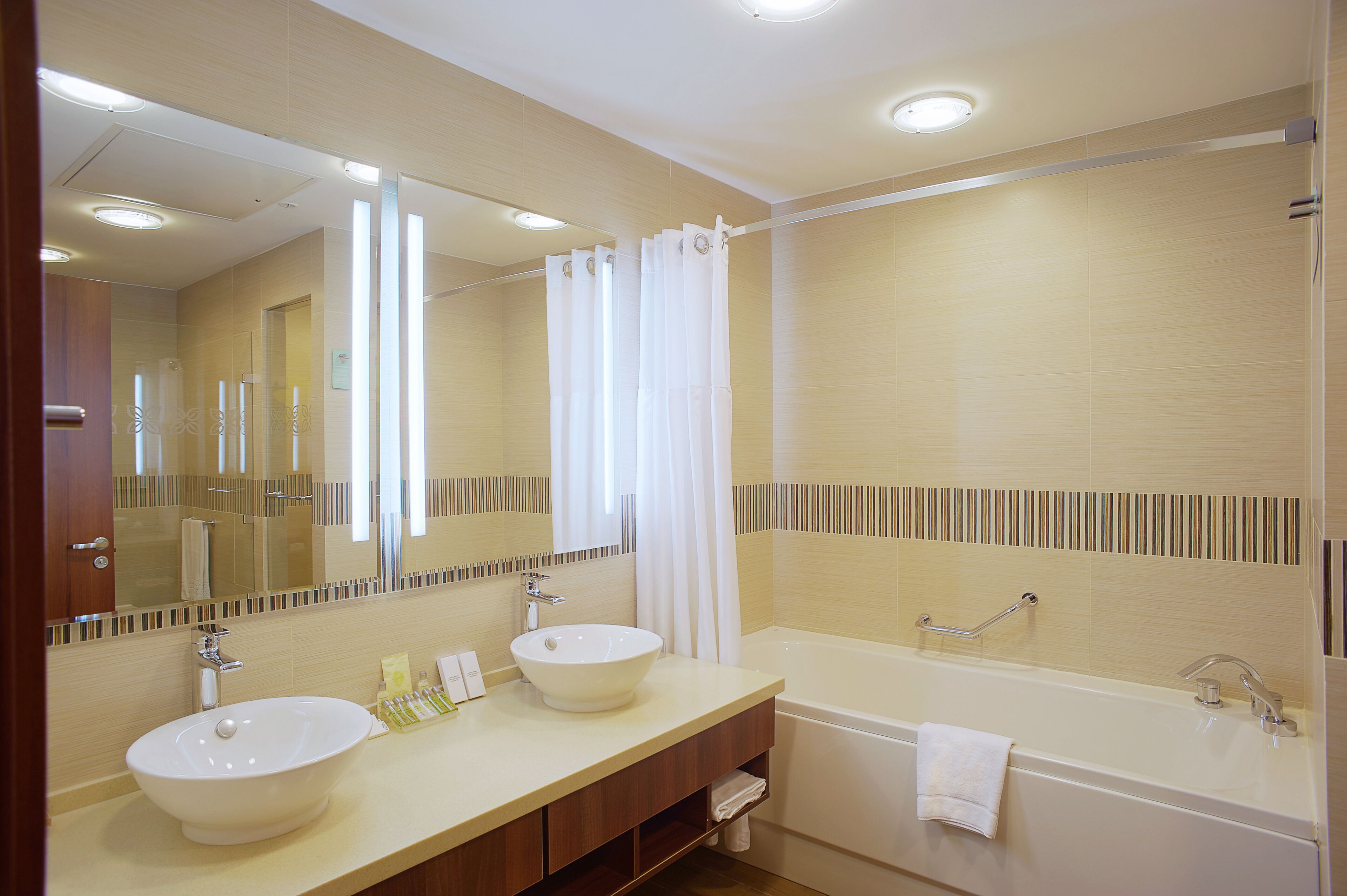 suite, 1 bedroom | bathroom | free toiletries, towels