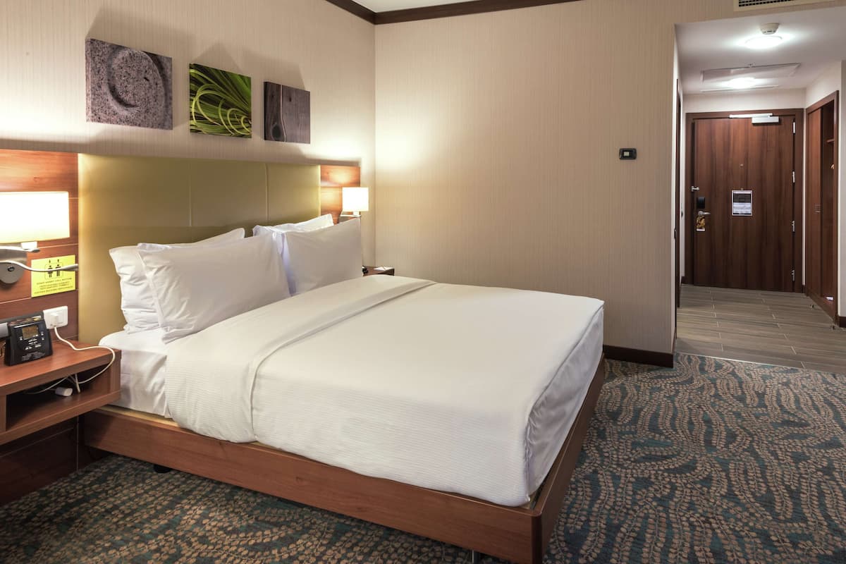 Room, 1 Queen Bed, Accessible