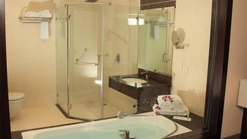 Shower, free toiletries, hair dryer, towels