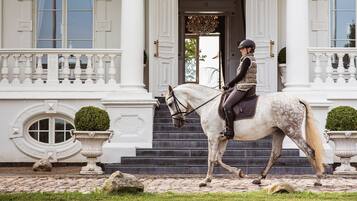 A horse and rider in front of a classical building with white columns and a grand entrance.