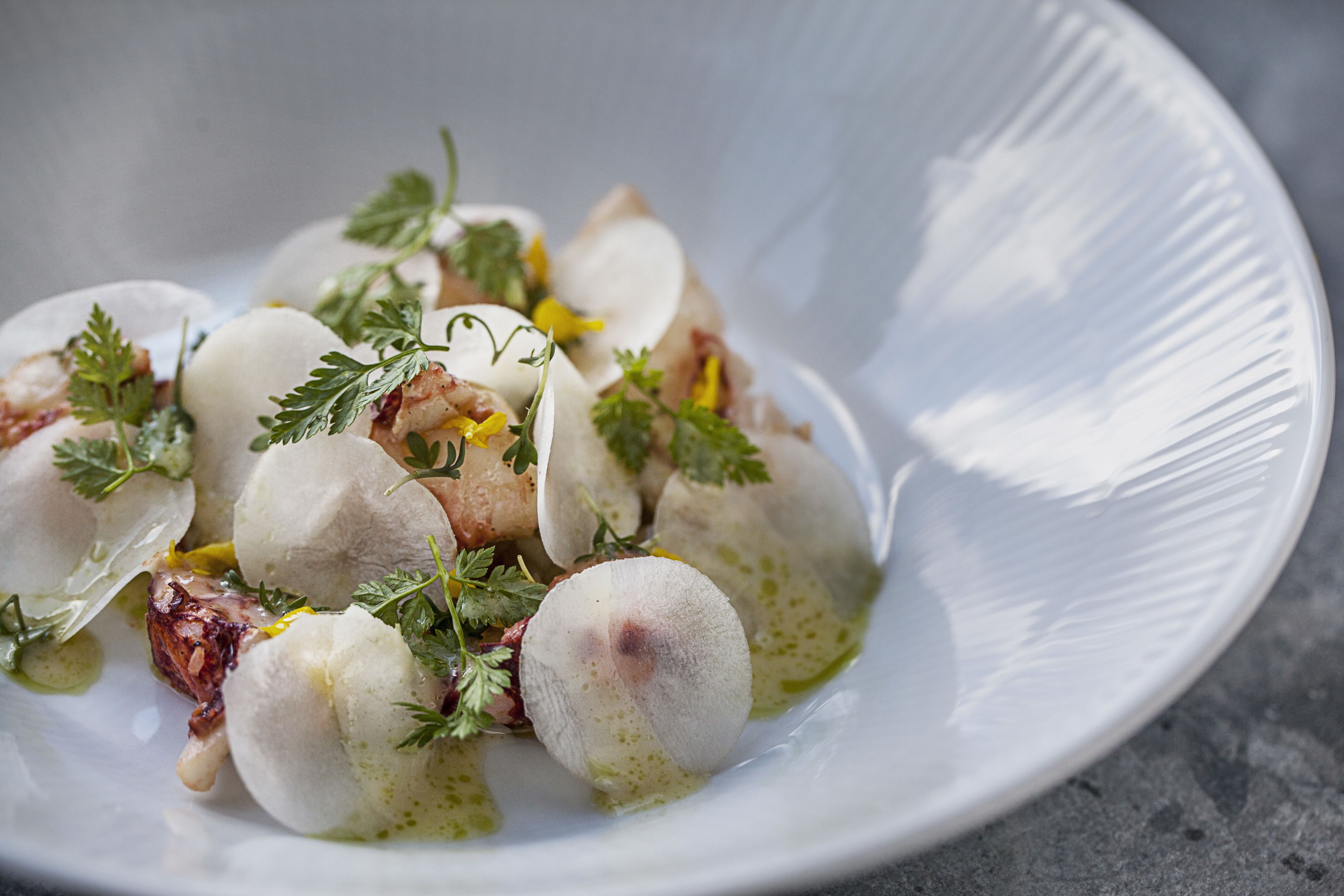 Une assiette blanche contenant des aliments ronds, décorés d’herbes et nappés d’une sauce verte.