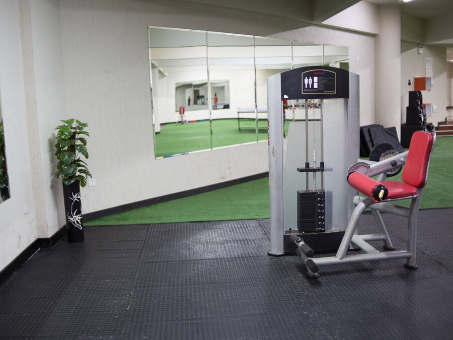 A gym with a mirrored wall, a red exercise chair, and a small plant.
