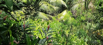Villa Citronella