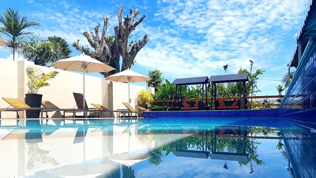 A clear swimming pool with lounge chairs and umbrellas, surrounded by tropical plants and a large tree.