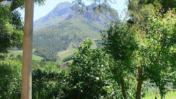 Premium Double or Twin Room, Kitchen, Mountain View | Mountain view