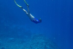 Parasols, serviettes de plage, plongée sous-marine, snorkeling