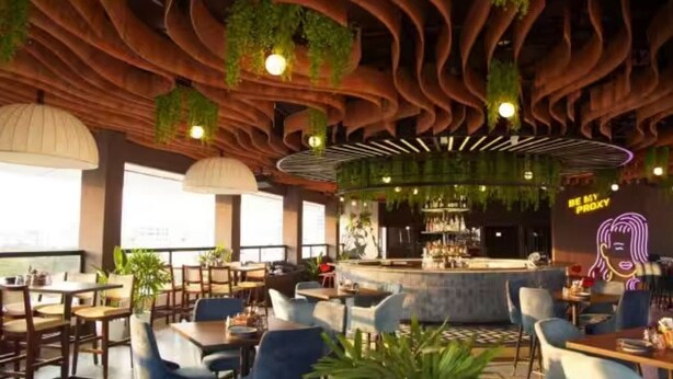 Un restaurant moderne doté d’un bar, d’un plafond en bois au design original et de plantes suspendues.