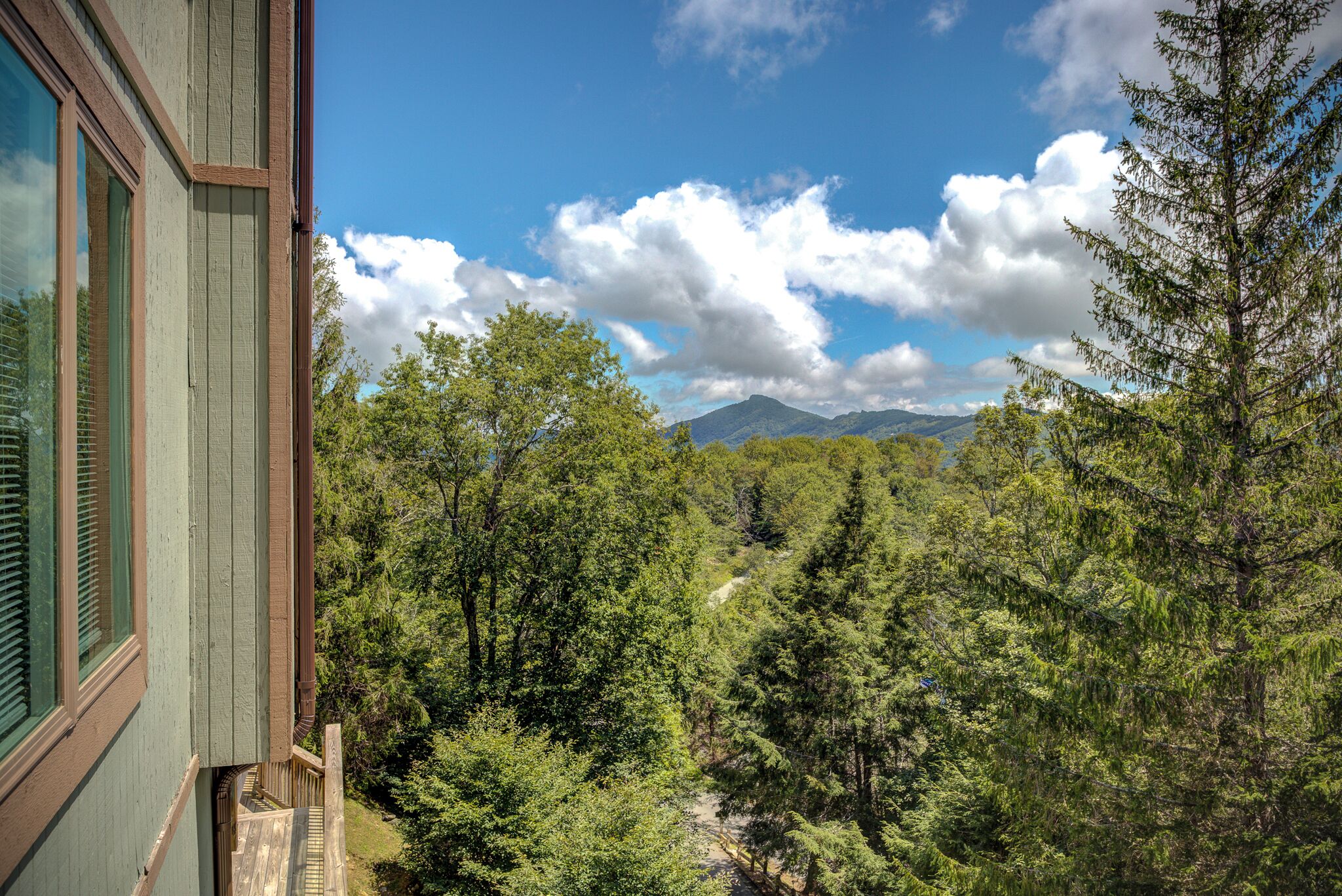 Une vue depuis une fenêtre donnant sur une zone boisée, avec une montagne visible au loin.