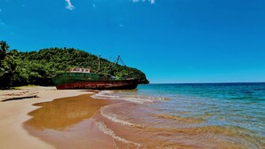 A beach with a green boat anchored near a forested island.