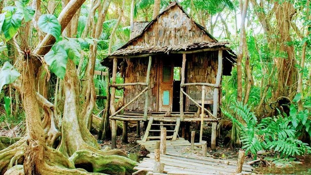 A rustic wooden structure with a thatched roof, surrounded by dense tropical foliage and large trees.