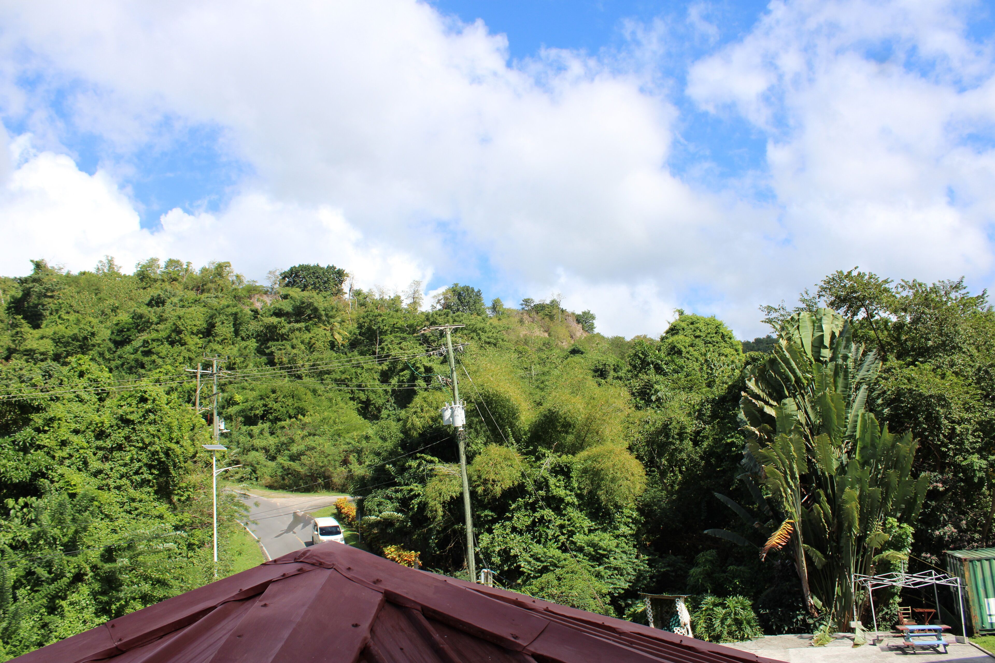A view of a road leading up a hill with lush greenery and a clear sky.