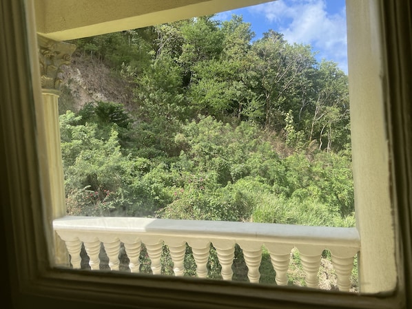 A view through a window with a white balustrade, overlooking a dense forested hillside. - Rejens Hotel (Portsmouth)