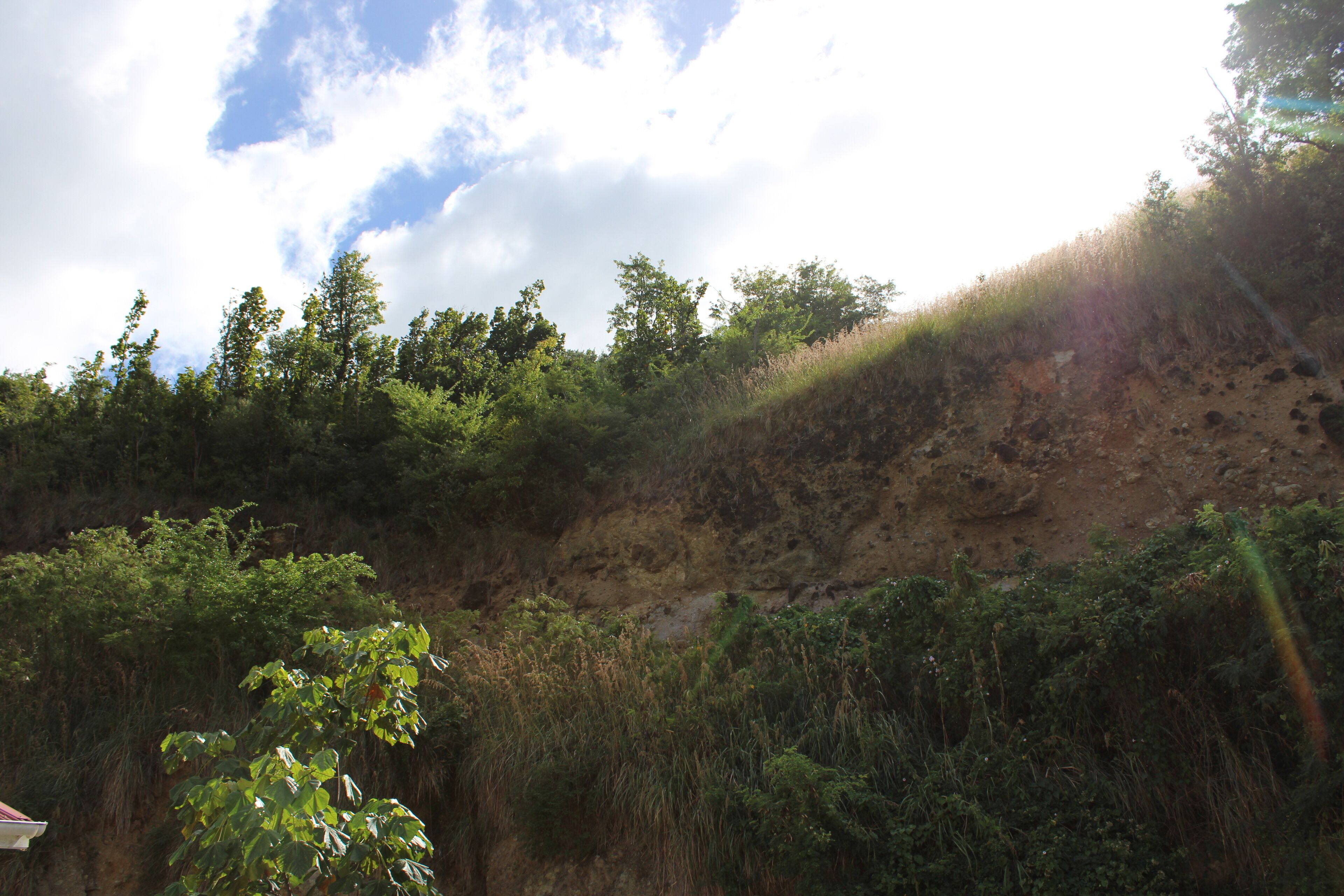 A natural landscape with a hill, trees, and a clear sky.