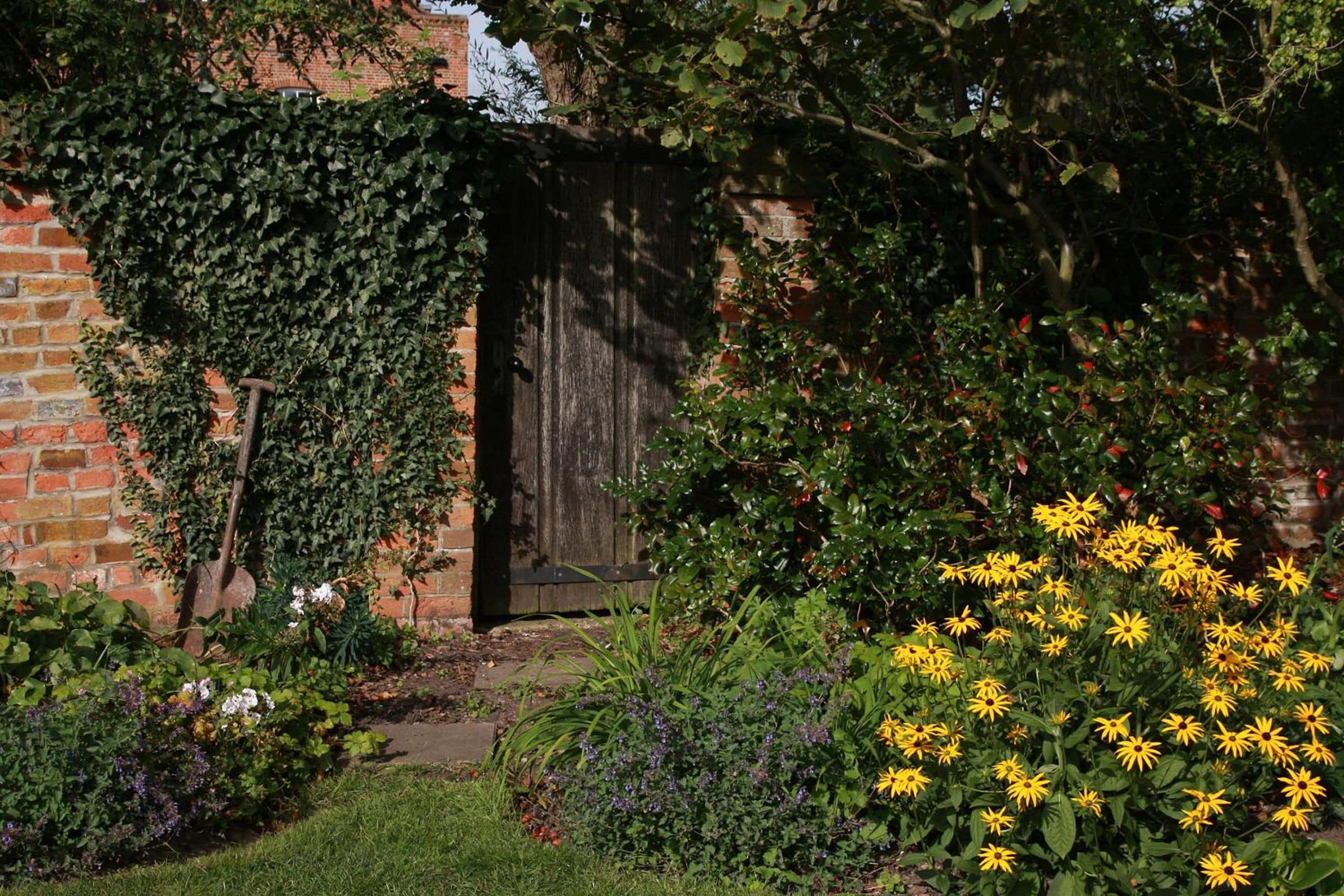 A garden with a brick wall, a wooden door, and various plants including yellow flowers.