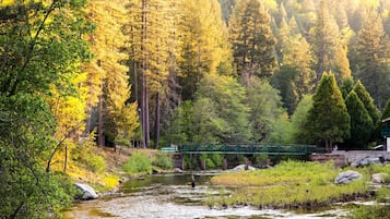 RV Site (water/sewer Hook-up) 30AMP (BRING OWN RV) 45' Max RV | บริเวณประตูทางเข้า