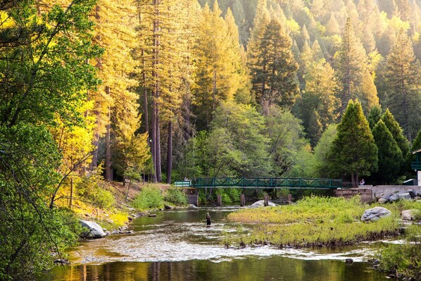 RV Site (water/sewer Hook-up) 30AMP (BRING OWN RV) 45' Max RV  | Interior entrance - Yosemite Lakes RV Resort (Groveland)