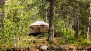 A rustic cabin with a wooden deck, surrounded by dense forest and a flowing stream. - Yosemite Lakes RV Resort (Groveland)