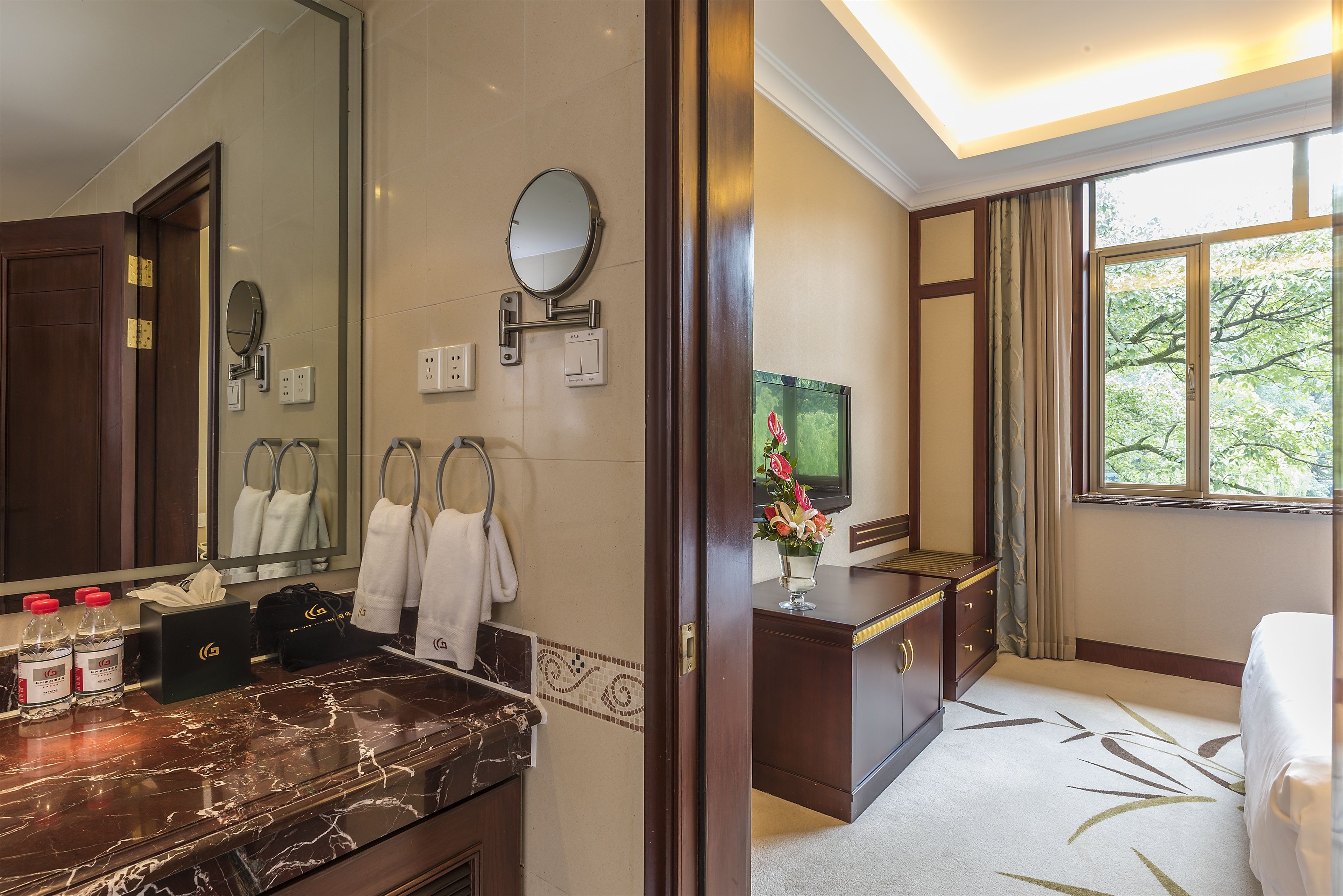 elegant suite | view from room